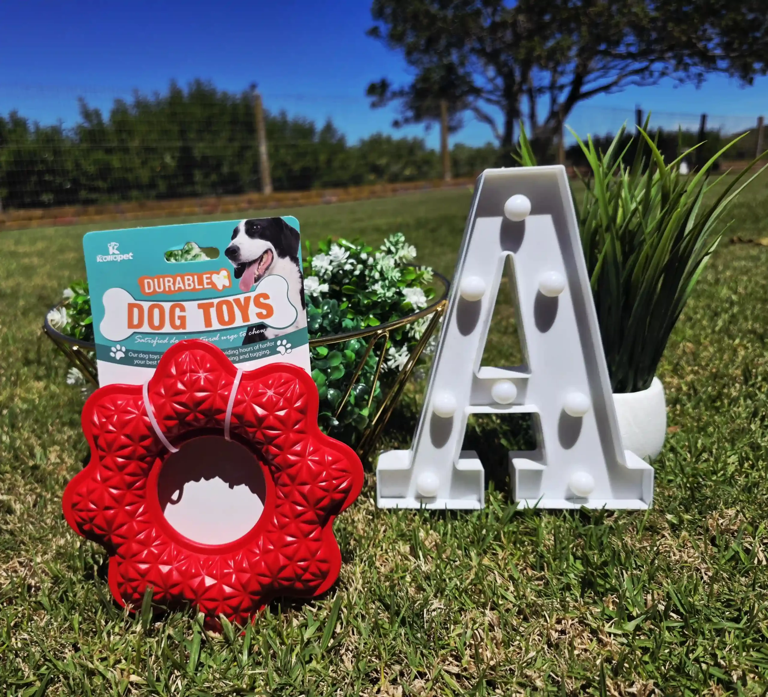 Durable Round Red Toss and Chew Dog Toy - Image 2