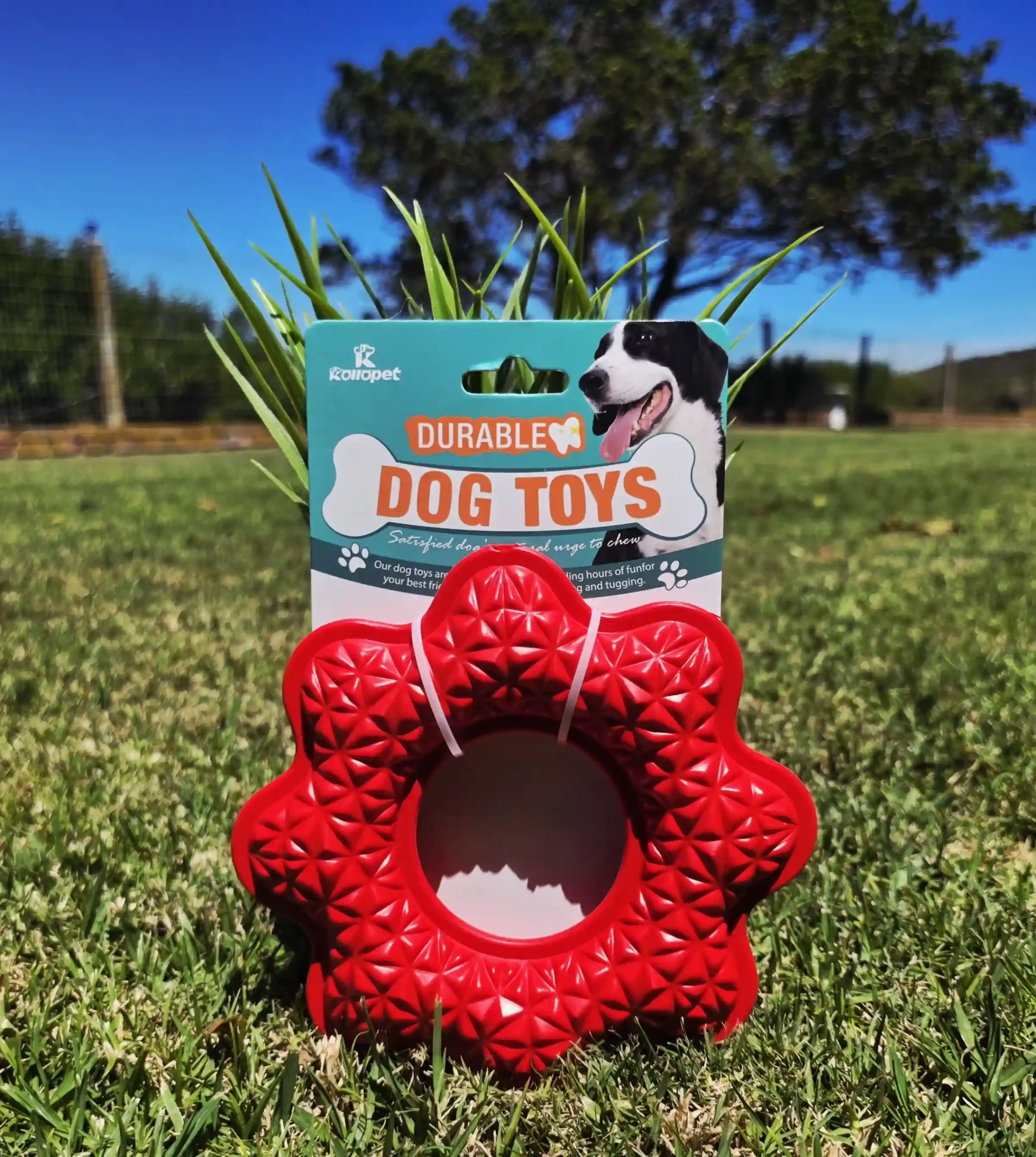 Durable Round Red Toss and Chew Dog Toy - Image 3