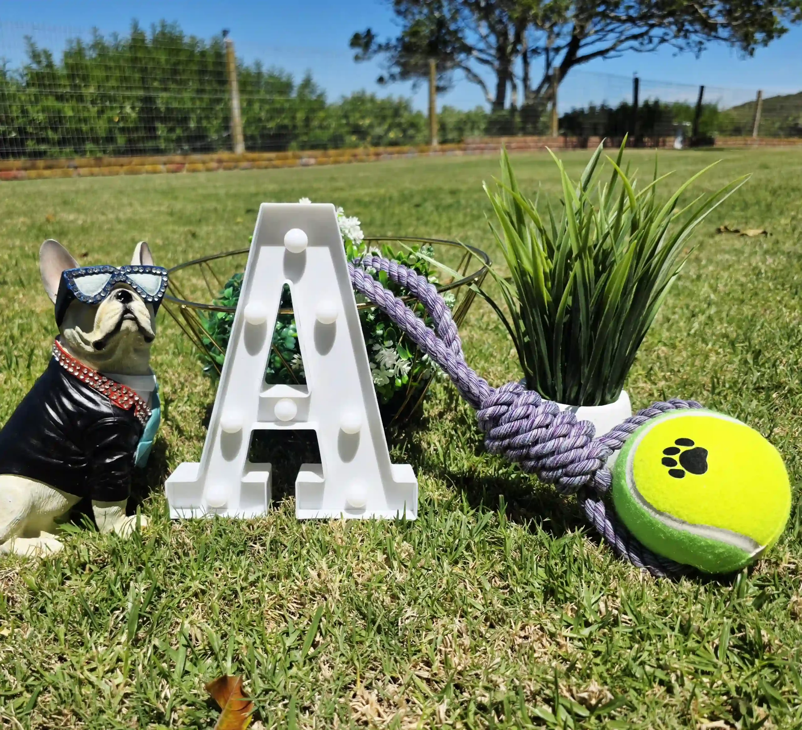 Large Tugging Tennis Ball and Rope - Image 2