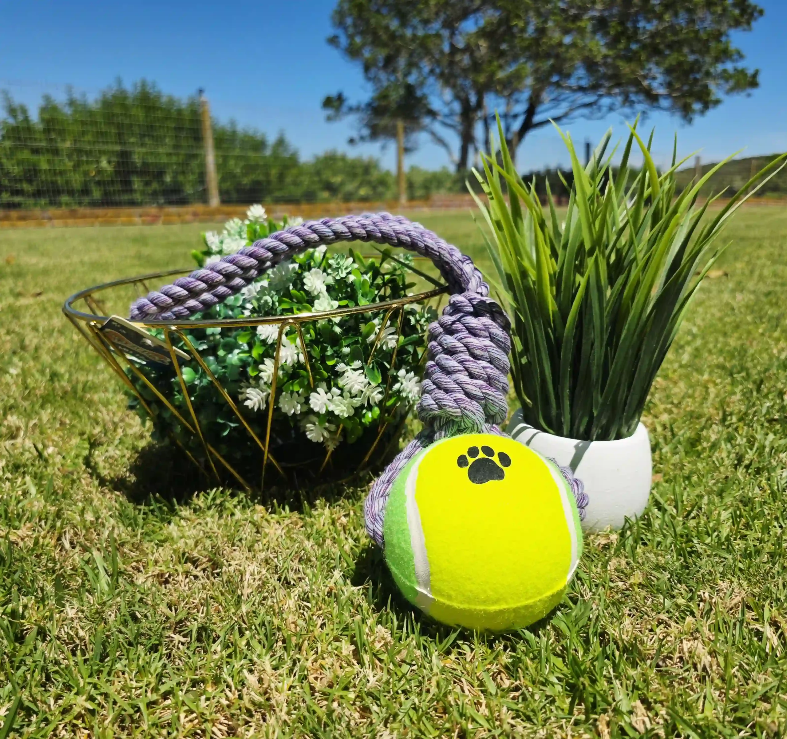 Large Tugging Tennis Ball and Rope - Image 3