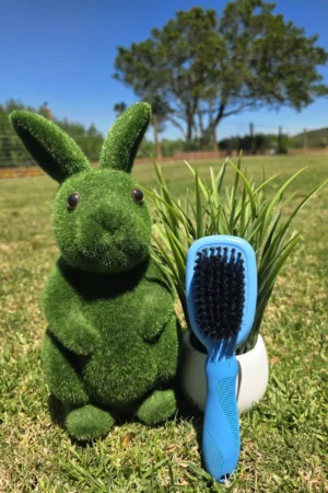 Pet Grooming Brush - Blue