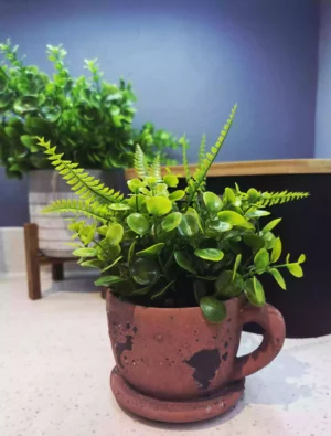 Rustic Cup & Saucer Potted Artificial Plant