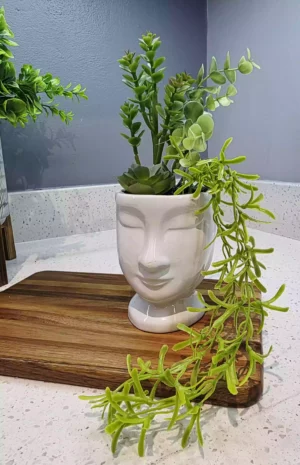 White Ceramic Face Planter with Artificial Succulents