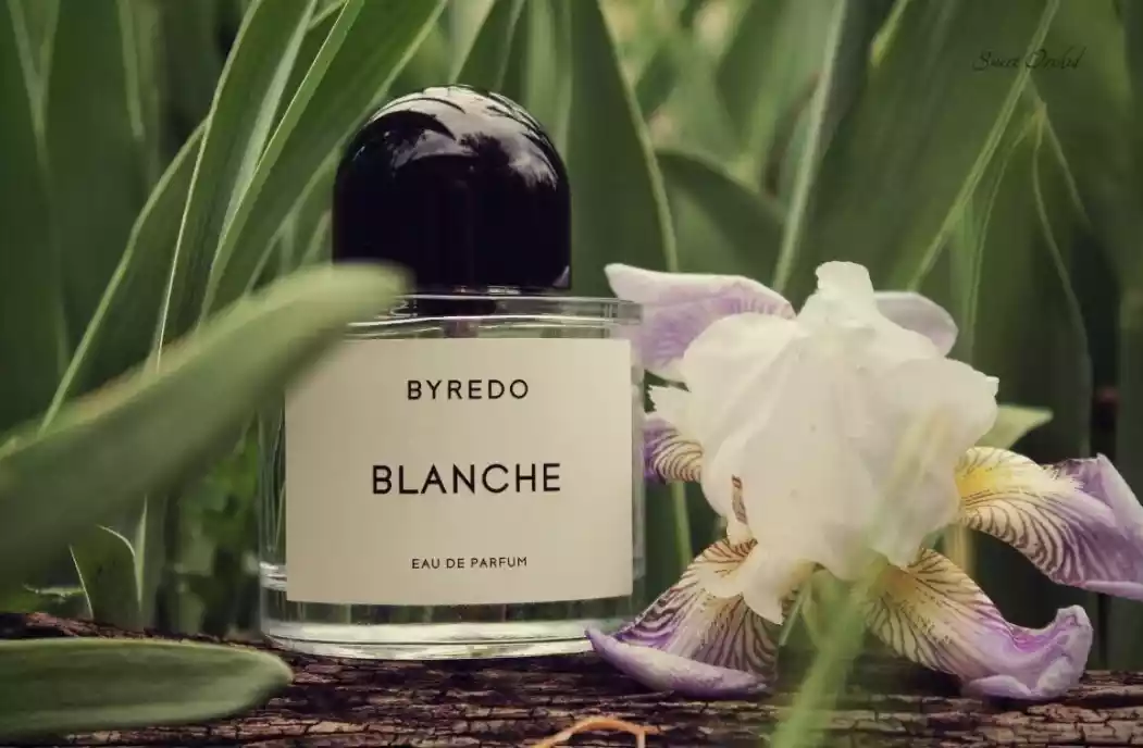 Byredo Blanche EDP 100ml